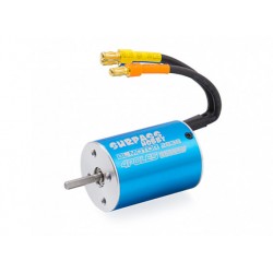 SURPASS Brushless Motor 2838 3600KV (1:18th 1:14th)