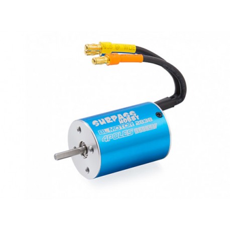 SURPASS Brushless Motor 2838 3600KV (1:18th 1:14th)