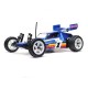 LOSI 1/16 Mini JRX2 Brushed 2WD Buggy RTR