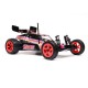 LOSI 1/16 Mini JRX2 Brushed 2WD Buggy RTR