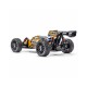 Hobbytech Rogue Buggy Naranja (Pack)