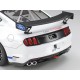 Tamiya Ford Mustang Gt4