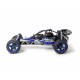CARSON 1:5 Wild GP ATTACK 2.4G RTR