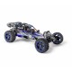 CARSON 1:5 Wild GP ATTACK 2.4G RTR