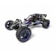 CARSON 1:5 Wild GP ATTACK 2.4G RTR