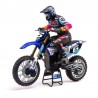 Losi 1-4 Promoto-MX Club MX 2S RTR Brushless Motorcycle Blue