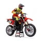 Losi 1-4 Promoto-MX FXR 2S RTR Brushless Motorcycle Red