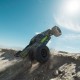 1-10 VORTEKS 223S DSC 2WD RTR Brushless Stadium Truck Yellow