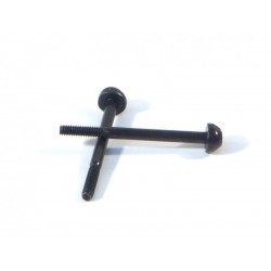 Hpi Differential Screw M2x25mm (2pcs)