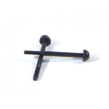 Hpi Differential Screw M2x25mm (2pcs)