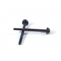 Hpi Differential Screw M2x25mm (2pcs)
