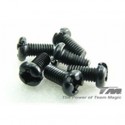 Team Magic 3x6 STEEL RH Screw (cross) (6)