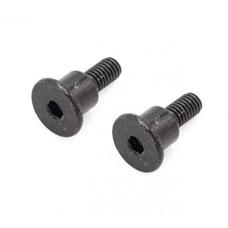Hobbytech Over D10 ackermann plate screw (x2)