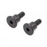 Hobbytech Over D10 ackermann plate screw (x2)