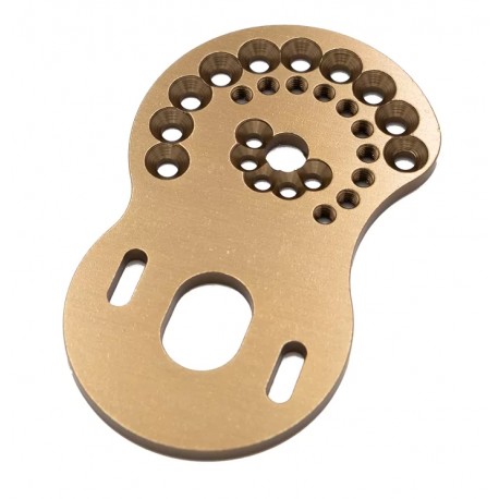 Hobbytech Over D10 aluminium motor mount