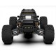 Rlaarlo Omni-Terminator Carbon Fiber  1:10 Scale RTR Brushless Monster Truck