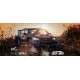 Rlaarlo 1/10 Carbon Fiber RC Rally Car XTS-S10 Roller(Without Electric Parts)