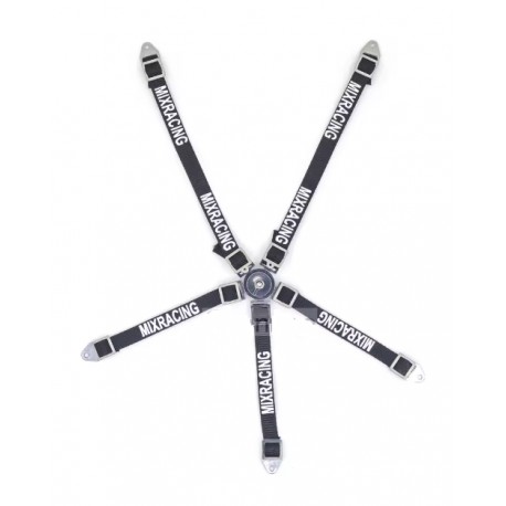 Safety Belt Black