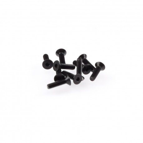 RUDDOG M2.5x10mm Flat Head Screws (10pcs)