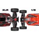 Team Corally - ASUGA XLR 6S - RTR - Green - Brushless Power 6S 