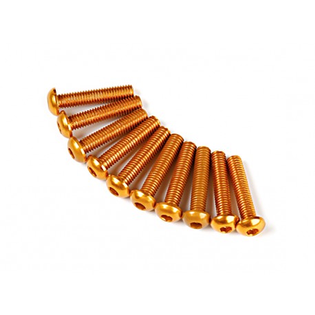 SCREW ROUND HEAD HEX M3X14MM 7075 ALUMINIUM GOLD (10 PCS)
