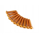 SCREW ROUND HEAD HEX M3X14MM 7075 ALUMINIUM GOLD (10 PCS)