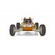 Team Associated RC10GB Nitro Buggy Kit