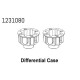 Differential Cover CR4.4 (2)
