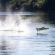 Pro Boat Miss Illinois U-34 34" Unlimited Hydro Race RTR