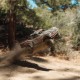 ARRMA 1-7 MOJAVE 6S EXB 4X4 RTR Brushless Desert Truck Black
