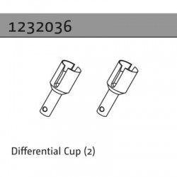 Absima Differential Cup (2)