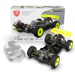 Rlaarlo 1-8 4WD Buggy Dragon Scale Knight | DSK KIT