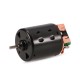 TRACKSTAR 1/10 BRUSHED MOTOR 540/ 80T